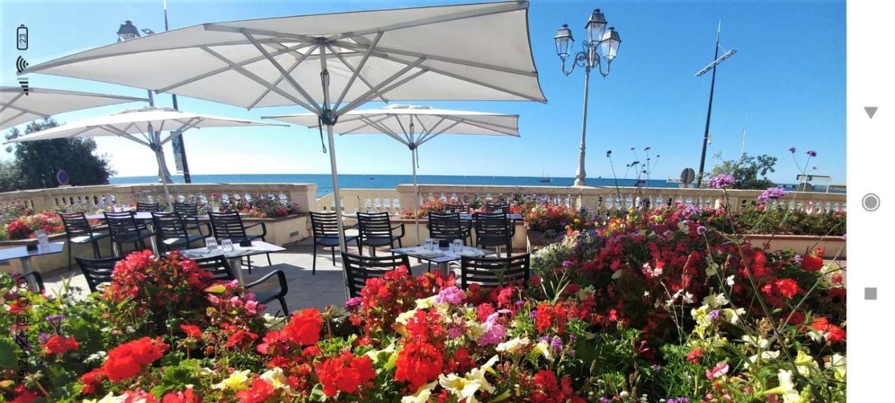 Kermit - Maison Proche Plages Les Sables-dʼOlonne Zewnętrze zdjęcie